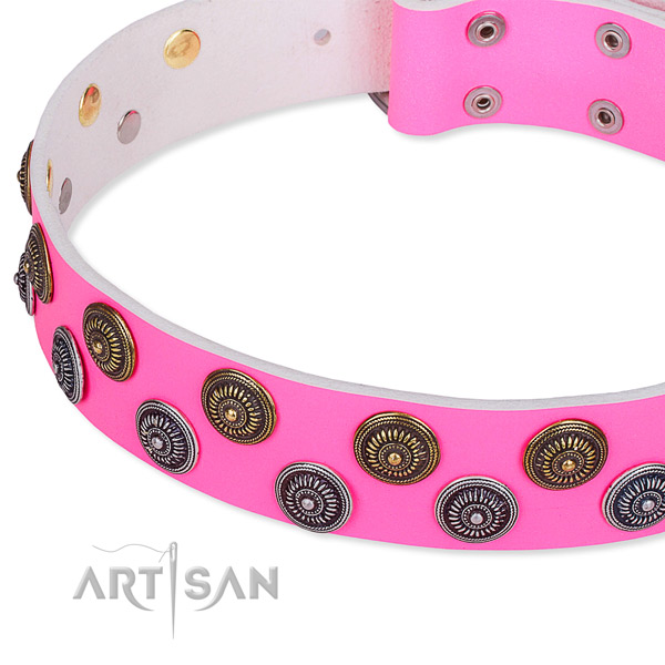 Full grain leather dog collar with awesome embellishments