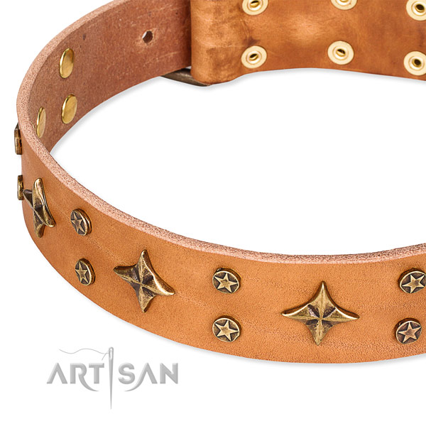 Full grain genuine leather dog collar with amazing decorations