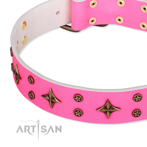 Full grain natural leather dog collar with trendy adornments