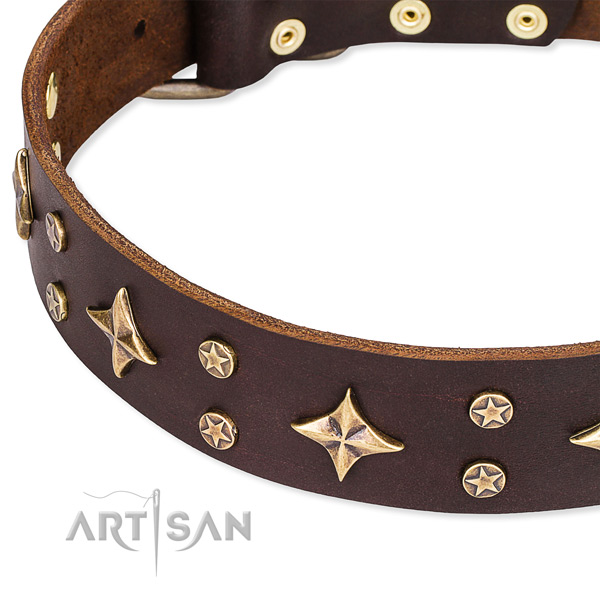 Full grain genuine leather dog collar with impressive studs