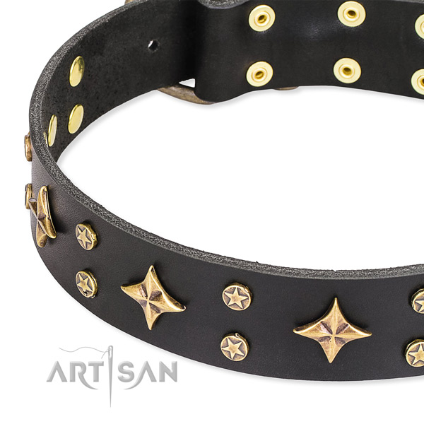 Full grain leather dog collar with unique adornments