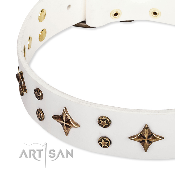 Full grain genuine leather dog collar with exquisite embellishments