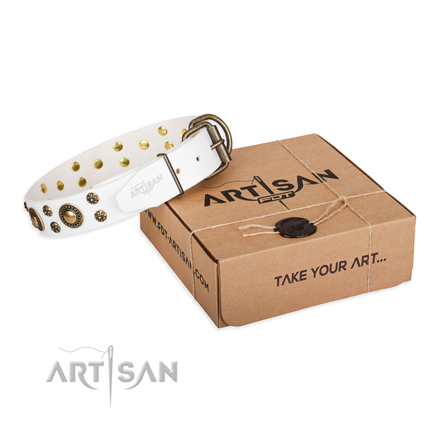 Full grain leather dog collar with studs for stylish walking