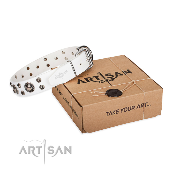 Fashionable genuine leather dog collar for stylish walks