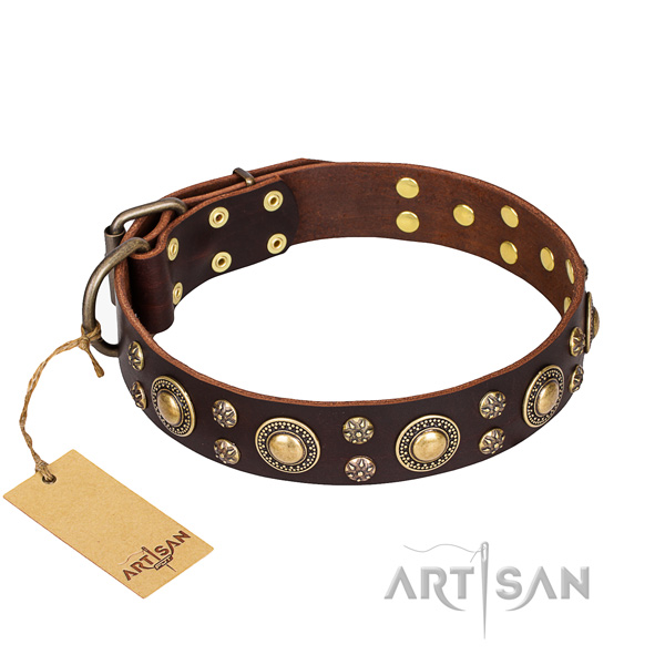 Awesome genuine leather dog collar for walking