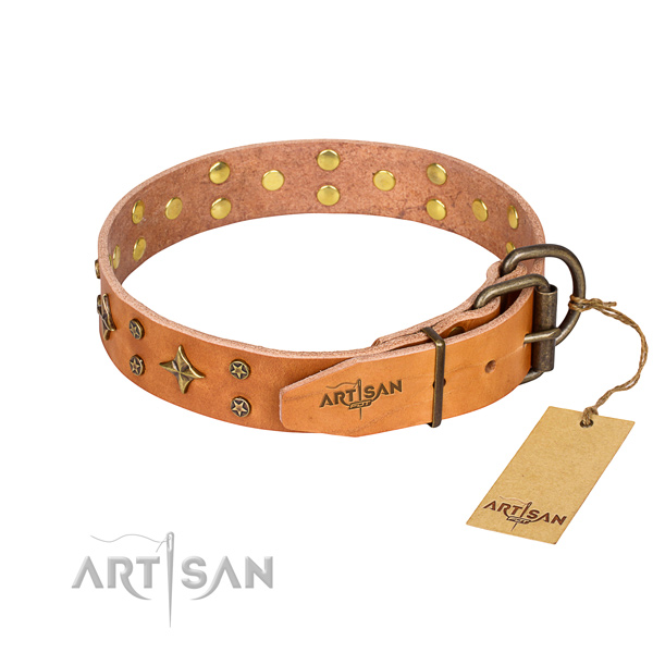 Everyday walking natural genuine leather collar with embellishments for your dog