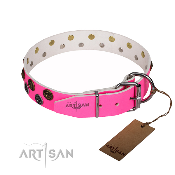 Everyday walking full grain genuine leather collar with decorations for your dog