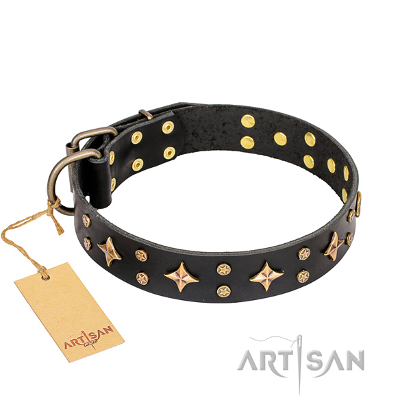 Stylish walking leather collar with embellishments for your doggie