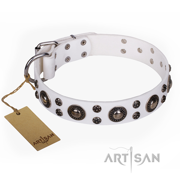 Remarkable full grain genuine leather dog collar for walking