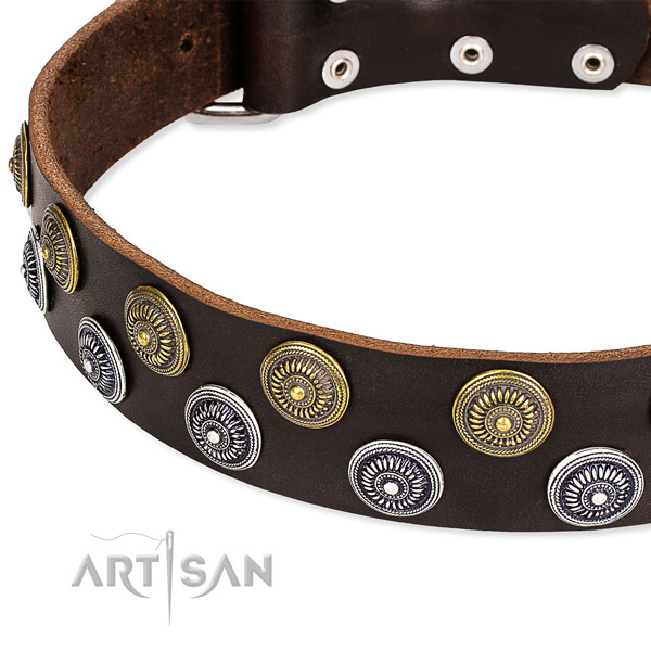 Genuine leather dog collar with top notch studs