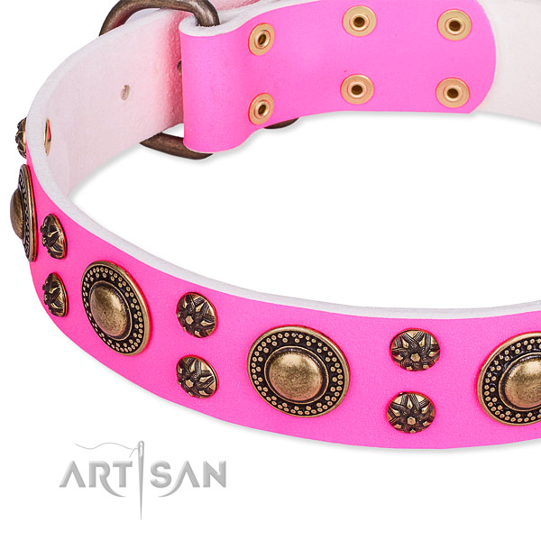 Natural genuine leather dog collar with fashionable embellishments