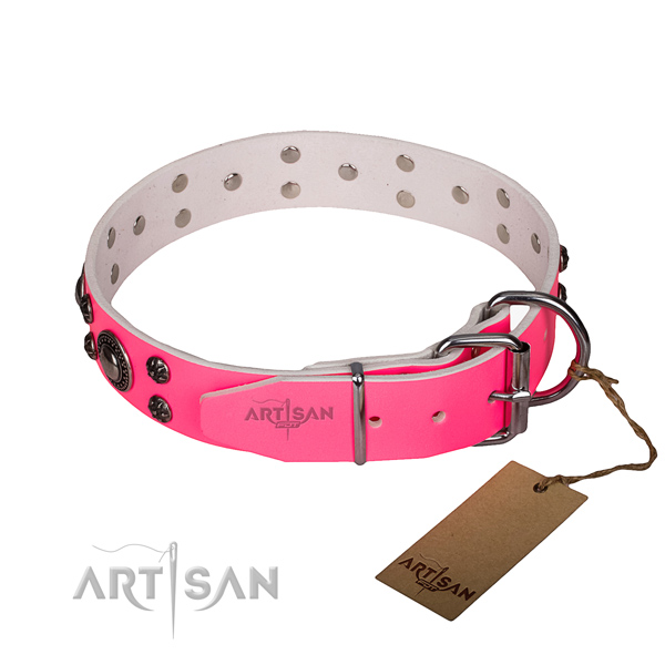 Daily use full grain leather collar with rust-proof buckle and D-ring
