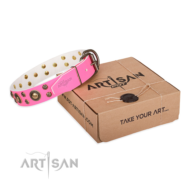 Genuine leather dog collar with decorations for daily use