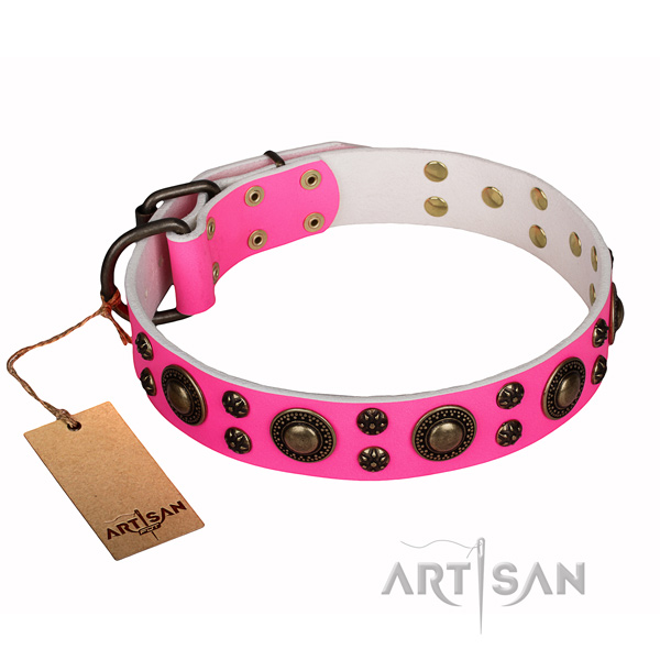 Everyday walking full grain natural leather collar with adornments for your dog