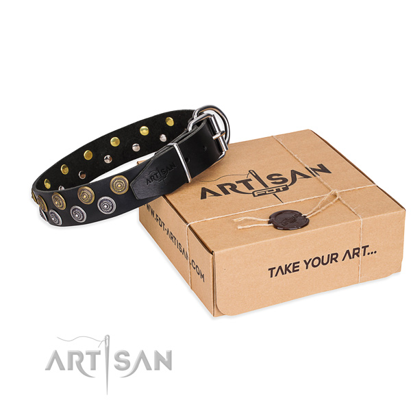 Leather dog collar with decorations for everyday use