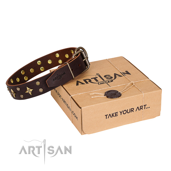 Adorned full grain genuine leather dog collar for walking