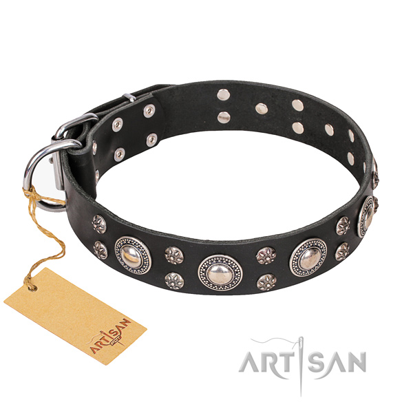Dependable leather dog collar with non-rusting fittings