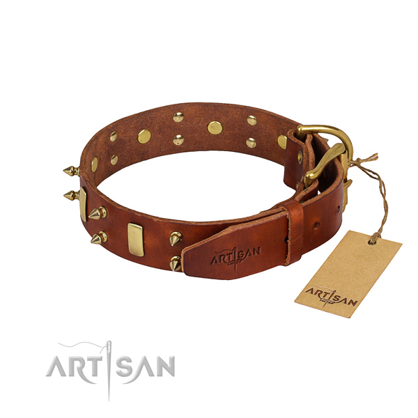 Sturdy leather dog collar with rust-proof details