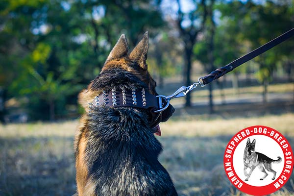 Time-proof Leather German Shepherd Collar with Non-corrosive Hardware