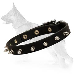 Grand Design German Shepherd Dog Collar