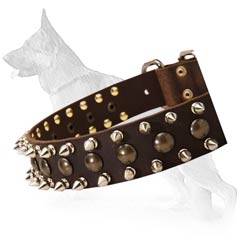 Beautiful German Shepherd Dog Collar