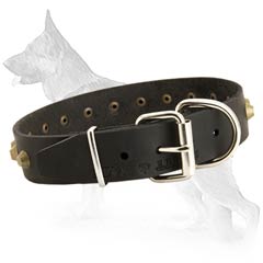 Superb German Shepherd Dog Collar