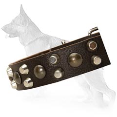 High Quality German Shepherd Dog Collar