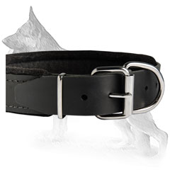 Awesome German Shepherd Dog Collar