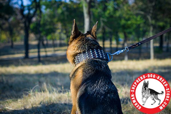 Chic Leather Dog Collar with 5 Rows of Nickel-plated Cones