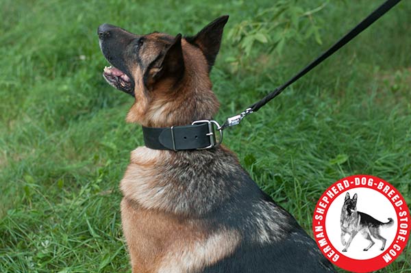 Wide German Shepherd Collar with Rust-proof Buckle