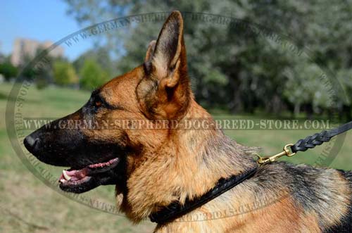 German Shepherd Collar Leather Unordinary