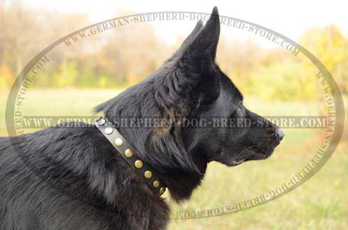 German Shepherd Collar Leather Unordinary