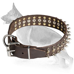 Buckle Spiked Leather German Shepherd Collar with Nickel Plated Hardware