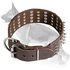Buckle Leather German Shepherd Collar with Strong Rust-Proof Nickel Plated Fittings