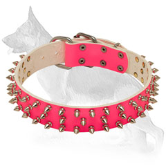 German Shepherd Collar with Glamour Design