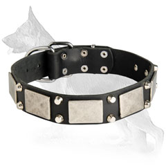 Leather German Shepherd Collar with Pyramids between Plates