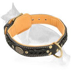 Leather German Shepherd Collar Nappa Padded Fur Saver with Ring