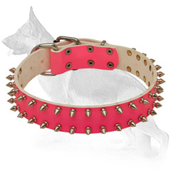 Pink Leather German Shepherd Collar Spiked in 2 Rows