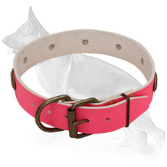 German Shepherd Collar with Gold-Like Buckle 