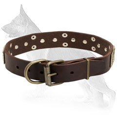 Buckle Leather German Shepherd Collar with Riveted Brass Hardware