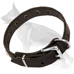 German Shepherd Collar with Silver-Like Buckle 