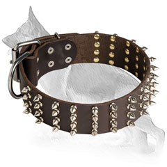 Wide Leather German Shepherd Collar with 4 Rows Nickel Plated Spikes