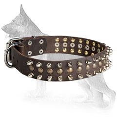 Leather German Shepherd Collar with Nickel Plated Spikes and Brass Studs