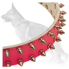 Pink Leather German Shepherd Collar Strap Decorated with Nickel Plated Spikes