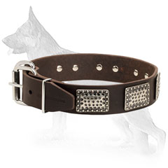 German Shepherd  Collar with Reliable Buckle