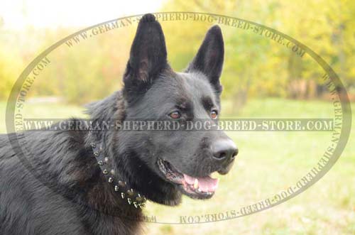 German Shepherd Collar Leather Strong