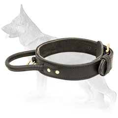 Two Ply Leather German Shepherd Collar with Strong Handle