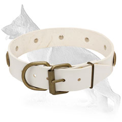 German Shepherd Collar with Brass Buckle 