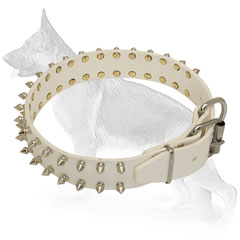 Spiked White Leather German Shepherd Collar with Nickel Plated Fittings