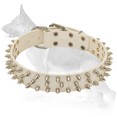 White German Shepherd Collar for Walking